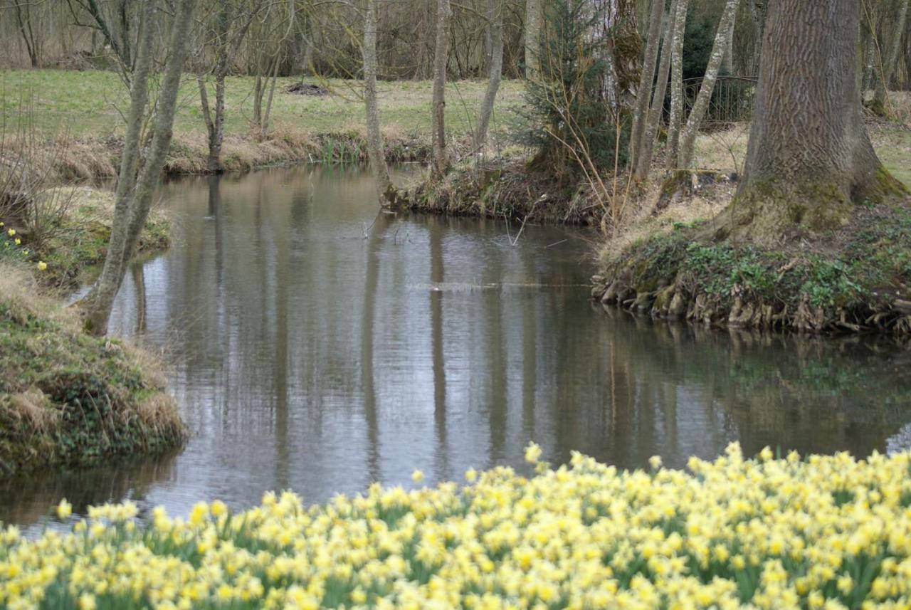 Le Parc Des Aubiers Bed & Breakfast Brion  Bagian luar foto